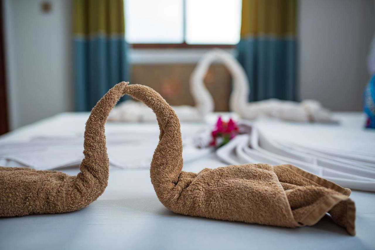 Mocco Bed and breakfast Kendwa